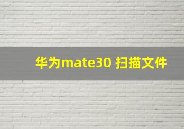 华为mate30 扫描文件